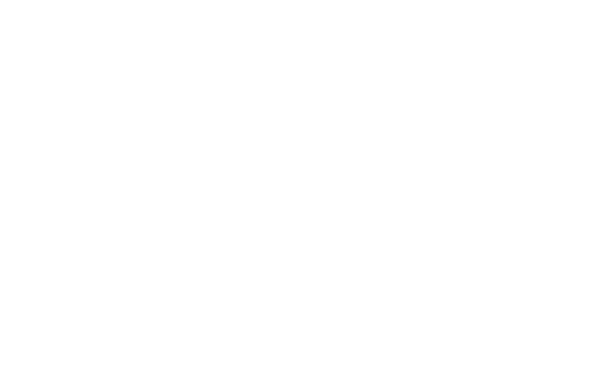 SAAP-POLICIAL